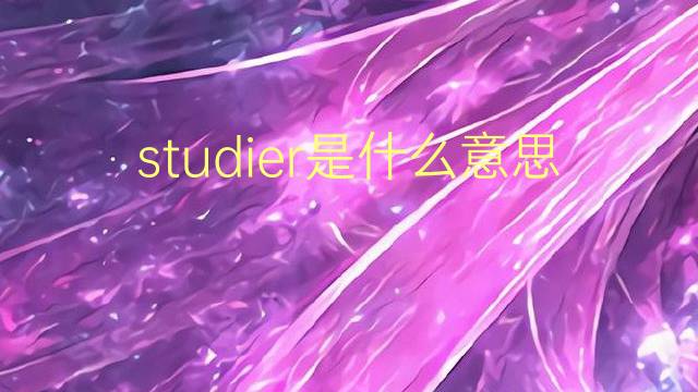 studier是什么意思 studier的翻译、读音、例句、中文解释