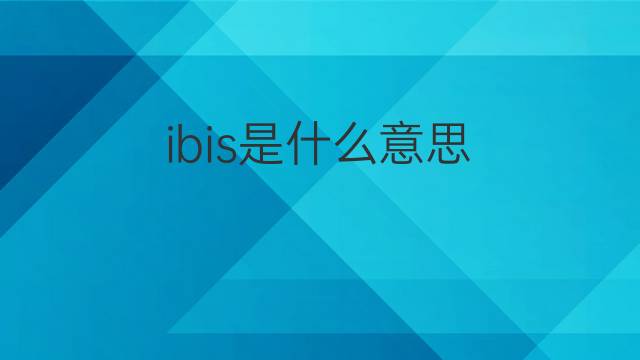 ibis是什么意思 ibis的翻译、读音、例句、中文解释