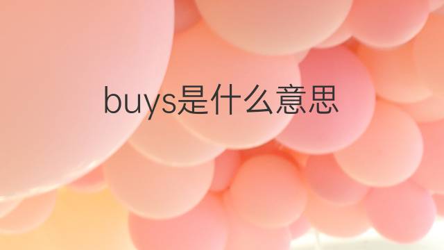 buys是什么意思 buys的翻译、读音、例句、中文解释