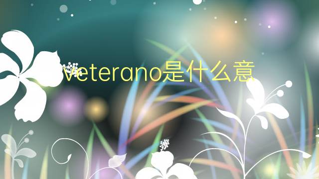 veterano是什么意思 veterano的翻译、读音、例句、中文解释