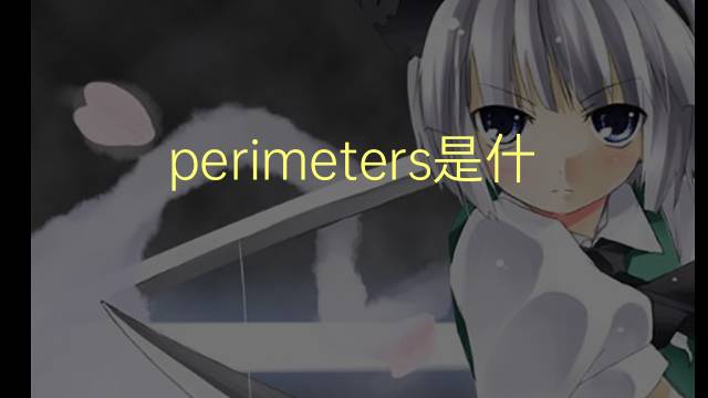 perimeters是什么意思 perimeters的翻译、读音、例句、中文解释