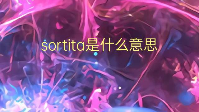 sortita是什么意思 sortita的翻译、读音、例句、中文解释