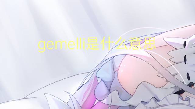 gemelli是什么意思 gemelli的翻译、读音、例句、中文解释