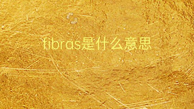 fibras是什么意思 fibras的翻译、读音、例句、中文解释