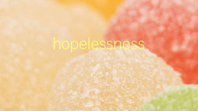 hopelessness是什么意思 hopelessness的翻译、读音、例句、中文解释