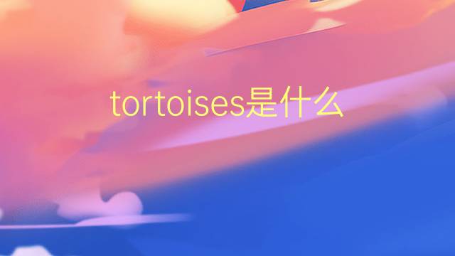 tortoises是什么意思 tortoises的翻译、读音、例句、中文解释