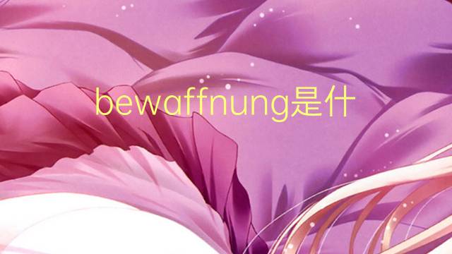 bewaffnung是什么意思 bewaffnung的翻译、读音、例句、中文解释