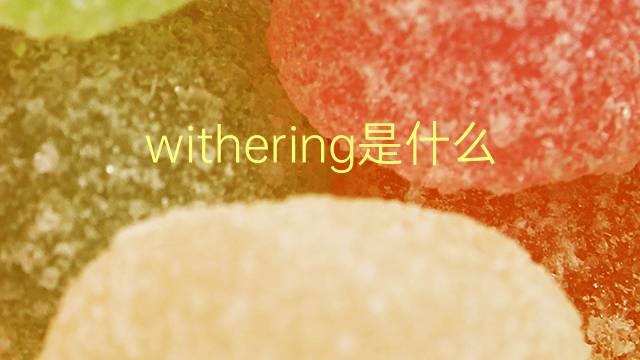 withering是什么意思 withering的翻译、读音、例句、中文解释