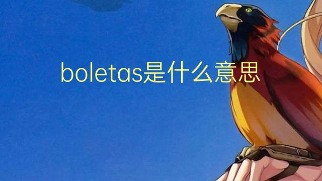 boletas是什么意思 boletas的翻译、读音、例句、中文解释