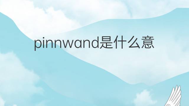 pinnwand是什么意思 pinnwand的翻译、读音、例句、中文解释