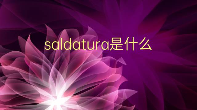 saldatura是什么意思 saldatura的翻译、读音、例句、中文解释