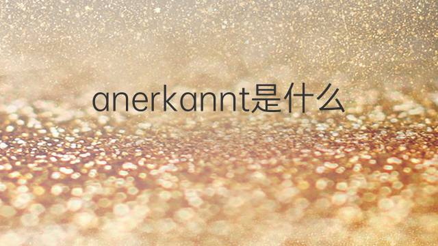 anerkannt是什么意思 anerkannt的翻译、读音、例句、中文解释