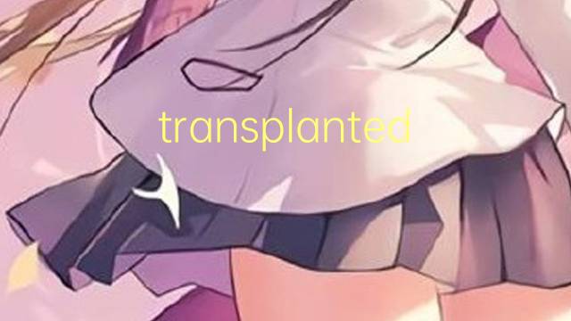 transplanted是什么意思 transplanted的翻译、读音、例句、中文解释