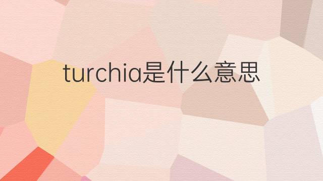 turchia是什么意思 turchia的翻译、读音、例句、中文解释