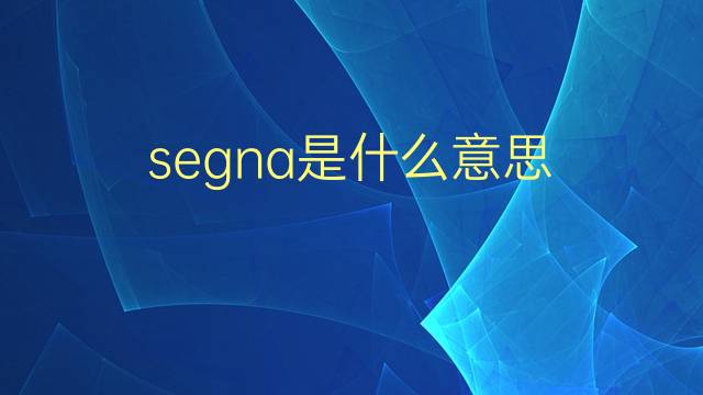 segna是什么意思 segna的翻译、读音、例句、中文解释