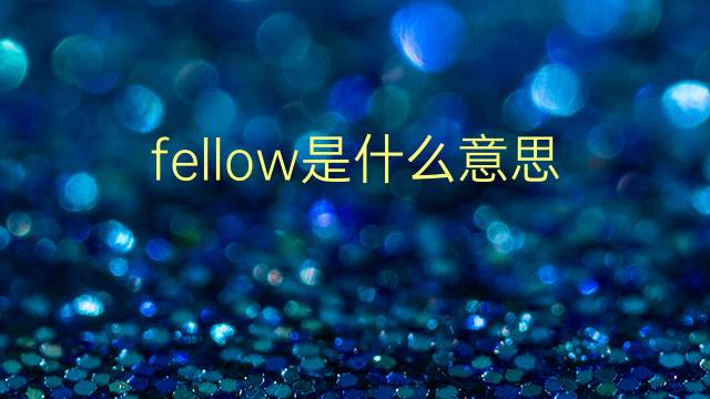 fellow是什么意思 fellow的翻译、读音、例句、中文解释