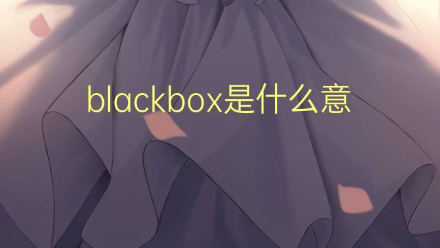 blackbox是什么意思 blackbox的翻译、读音、例句、中文解释