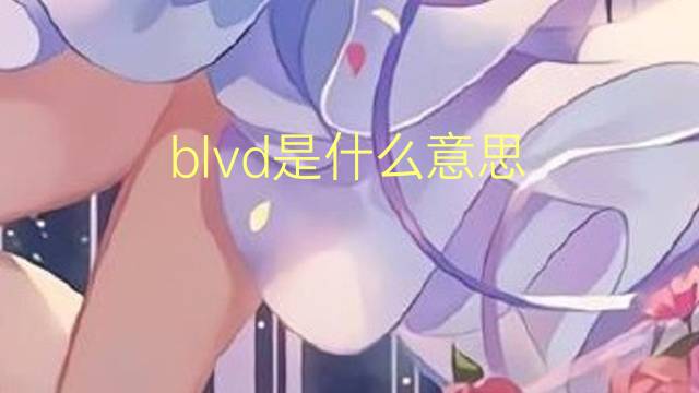 blvd是什么意思 blvd的翻译、读音、例句、中文解释