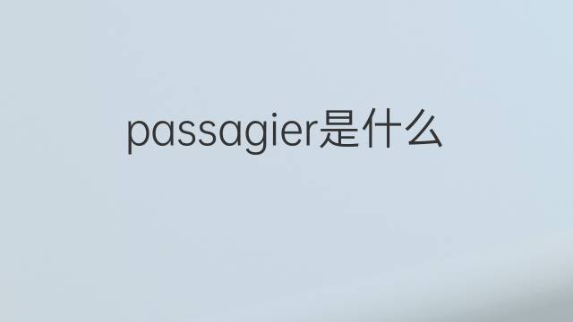 passagier是什么意思 passagier的翻译、读音、例句、中文解释