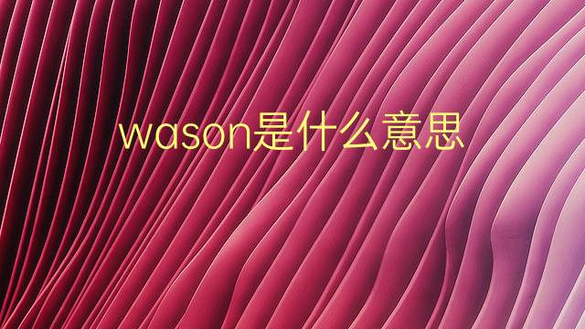 wason是什么意思 wason的翻译、读音、例句、中文解释