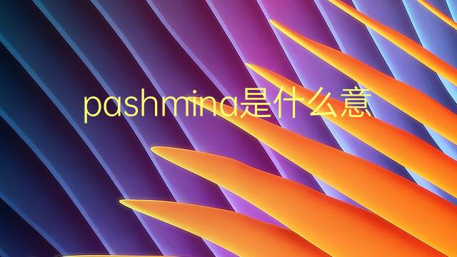 pashmina是什么意思 pashmina的翻译、读音、例句、中文解释