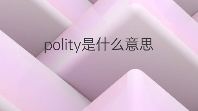 polity是什么意思 polity的翻译、读音、例句、中文解释