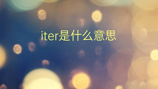 iter是什么意思 iter的翻译、读音、例句、中文解释