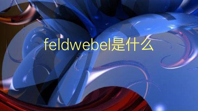 feldwebel是什么意思 feldwebel的翻译、读音、例句、中文解释