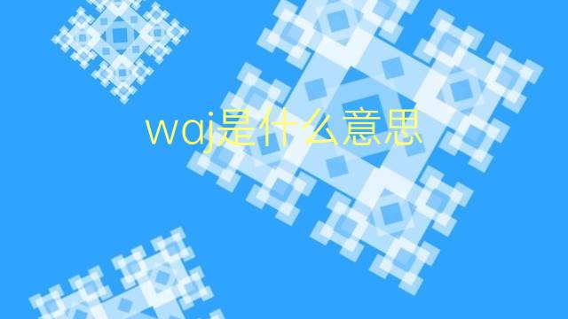 waj是什么意思 waj的翻译、读音、例句、中文解释