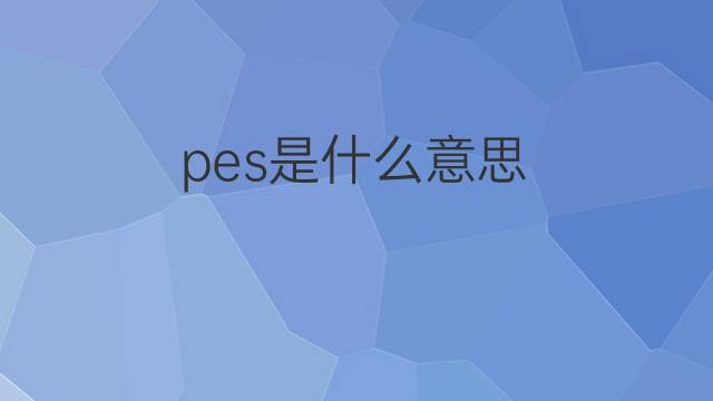 pes是什么意思 pes的翻译、读音、例句、中文解释