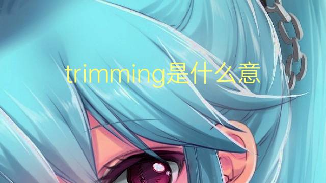 trimming是什么意思 trimming的翻译、读音、例句、中文解释