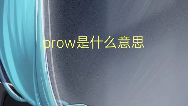 prow是什么意思 prow的翻译、读音、例句、中文解释