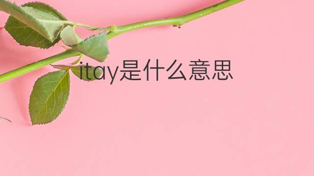 itay是什么意思 itay的翻译、读音、例句、中文解释