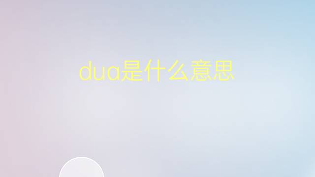 dua是什么意思 dua的翻译、读音、例句、中文解释