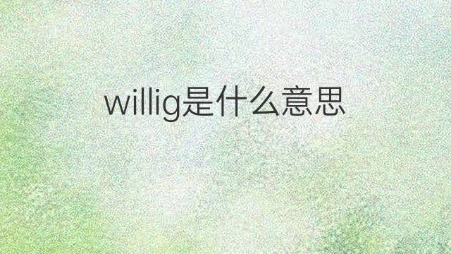 willig是什么意思 willig的翻译、读音、例句、中文解释