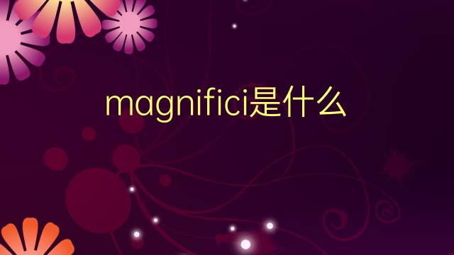 magnifici是什么意思 magnifici的翻译、读音、例句、中文解释