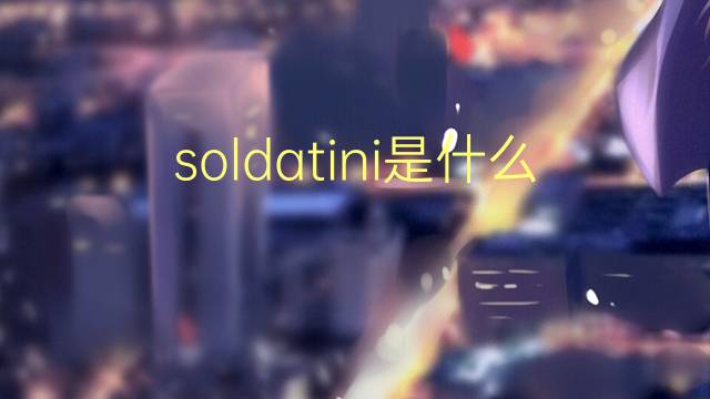 soldatini是什么意思 soldatini的翻译、读音、例句、中文解释