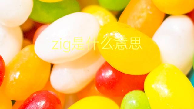 zig是什么意思 zig的翻译、读音、例句、中文解释