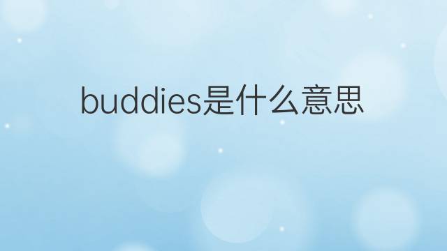 buddies是什么意思 buddies的翻译、读音、例句、中文解释