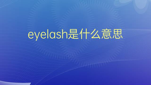 eyelash是什么意思 eyelash的翻译、读音、例句、中文解释