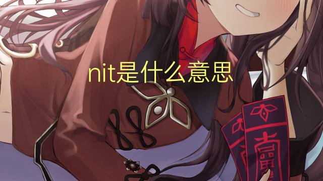 nit是什么意思 nit的翻译、读音、例句、中文解释