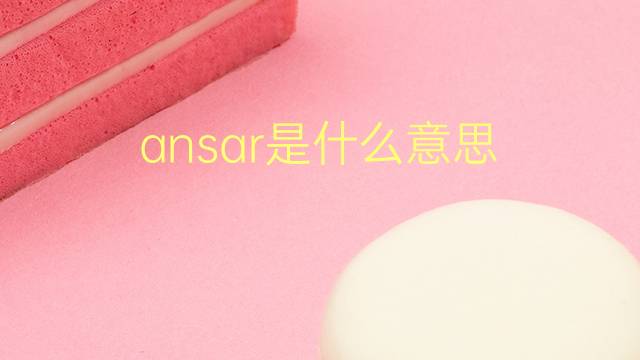 ansar是什么意思 ansar的翻译、读音、例句、中文解释