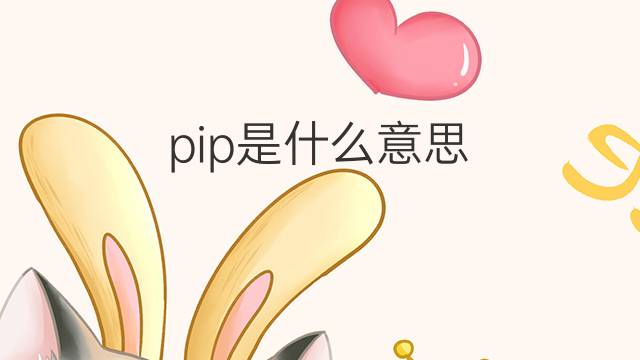 pip是什么意思 pip的翻译、读音、例句、中文解释