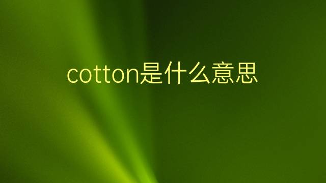 cotton是什么意思 cotton的翻译、读音、例句、中文解释