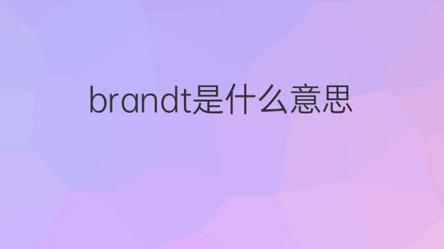 brandt是什么意思 brandt的翻译、读音、例句、中文解释