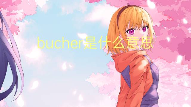 bucher是什么意思 bucher的翻译、读音、例句、中文解释