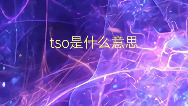 tso是什么意思 tso的翻译、读音、例句、中文解释