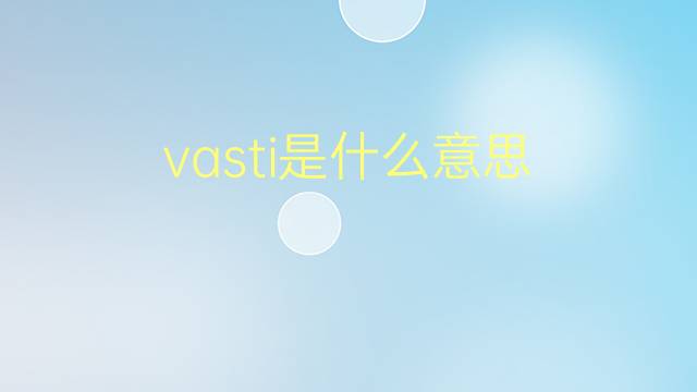 vasti是什么意思 vasti的翻译、读音、例句、中文解释