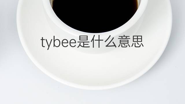 tybee是什么意思 tybee的翻译、读音、例句、中文解释