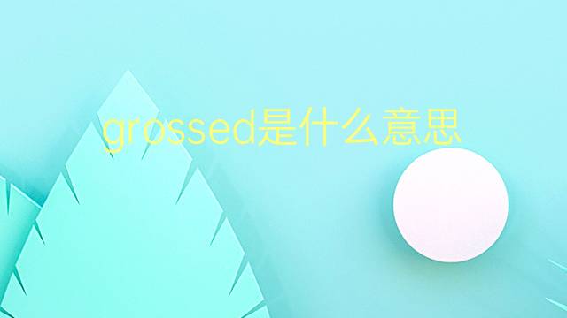 grossed是什么意思 grossed的翻译、读音、例句、中文解释